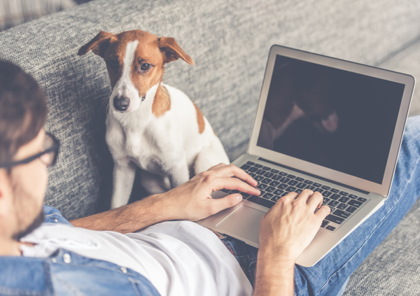 Mann sitzt mit Laptop und Hund auf der Couch