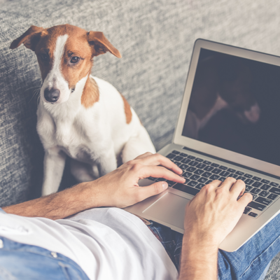 Mann sitzt mit seinem Hund auf der Couch und tippt etwas in seinen Laptop ein 