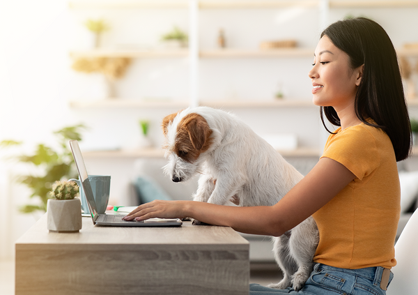 Frau sitzt am Laptop, um ihren Hund anzumelden, der neben ihr auf den Laptop schaut.