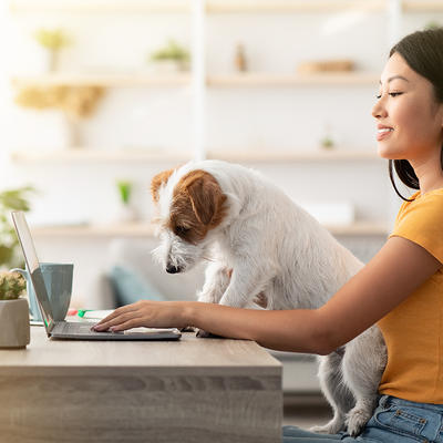 Frau sitzt am Laptop, um ihren Hund anzumelden, der neben ihr auf den Laptop schaut. 