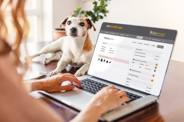 Eine Frau arbeitet an ihrem Laptop und ihr Hund schaut zu
