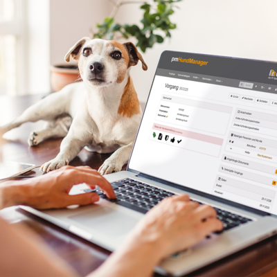 Eine Frau arbeitet an ihrem Laptop und ihr Hund schaut zu
