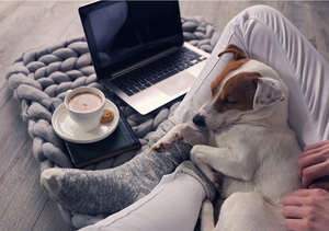 Frau, die zu Hause mit ihrem Hund gemütlich vor dem Laptop sitzt und Kakao trinkt